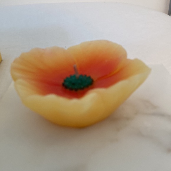 Crate&Barrel flower floating candles New in box - Picture 7 of 16